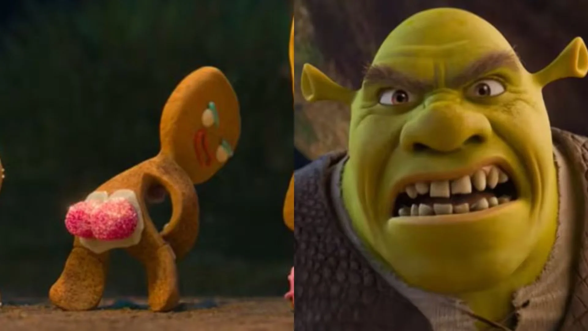 sherk 04.webp